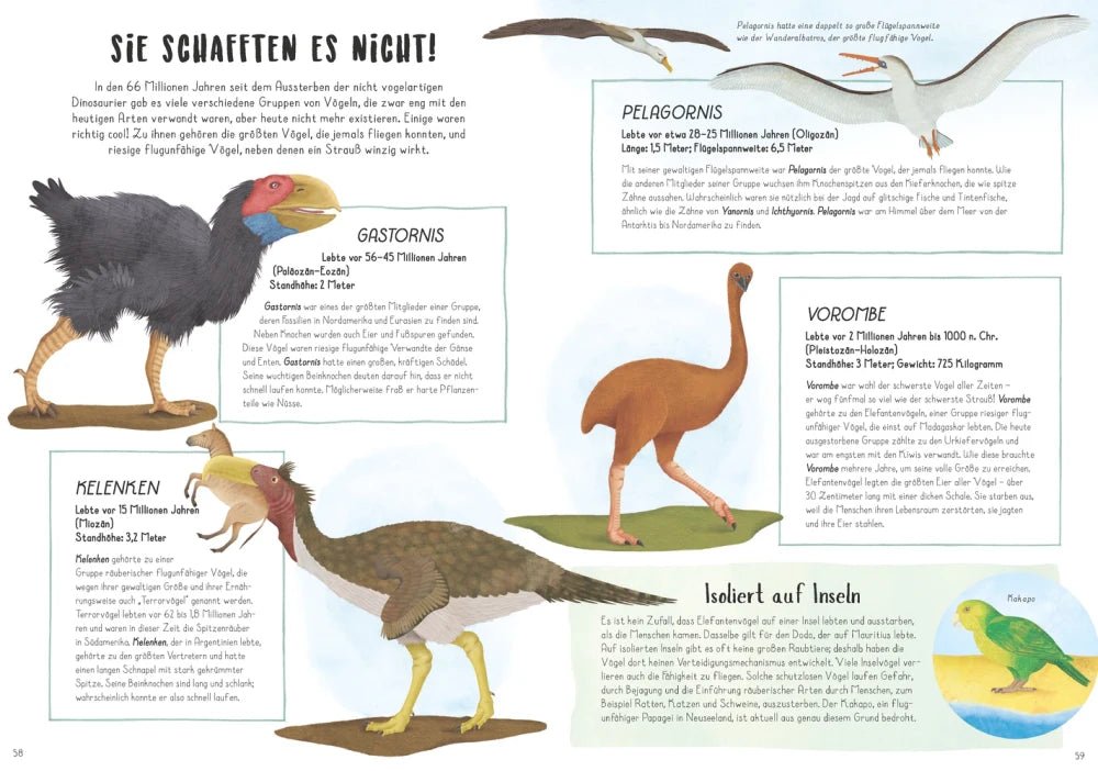 Vom Tyrannosaurus zum Huhn | Die unglaubliche Evolution der Vögel