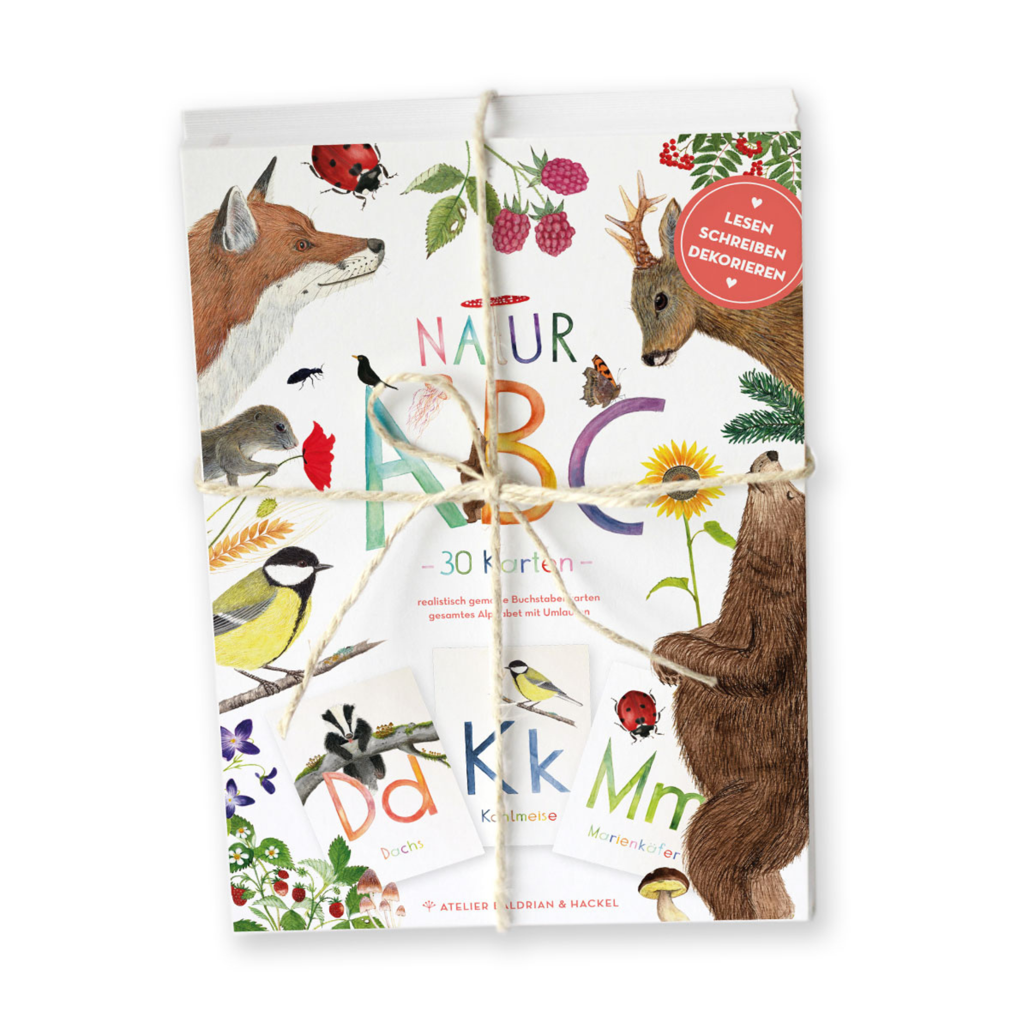 ABC-Karten Set "Natur"
