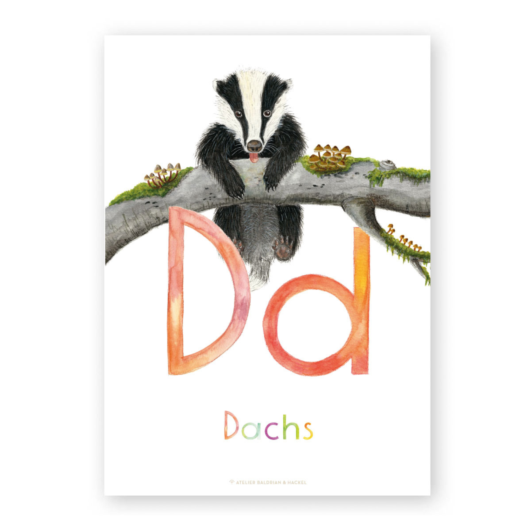 ABC-Karten Set "Natur"