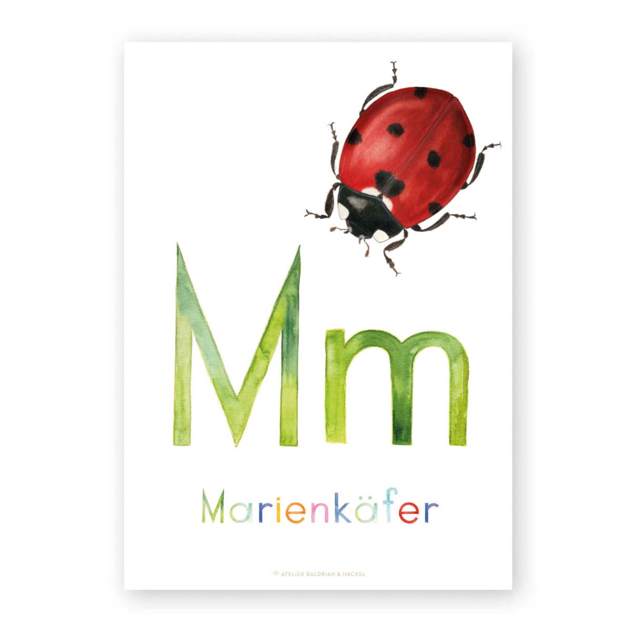 ABC-Karten Set "Natur"