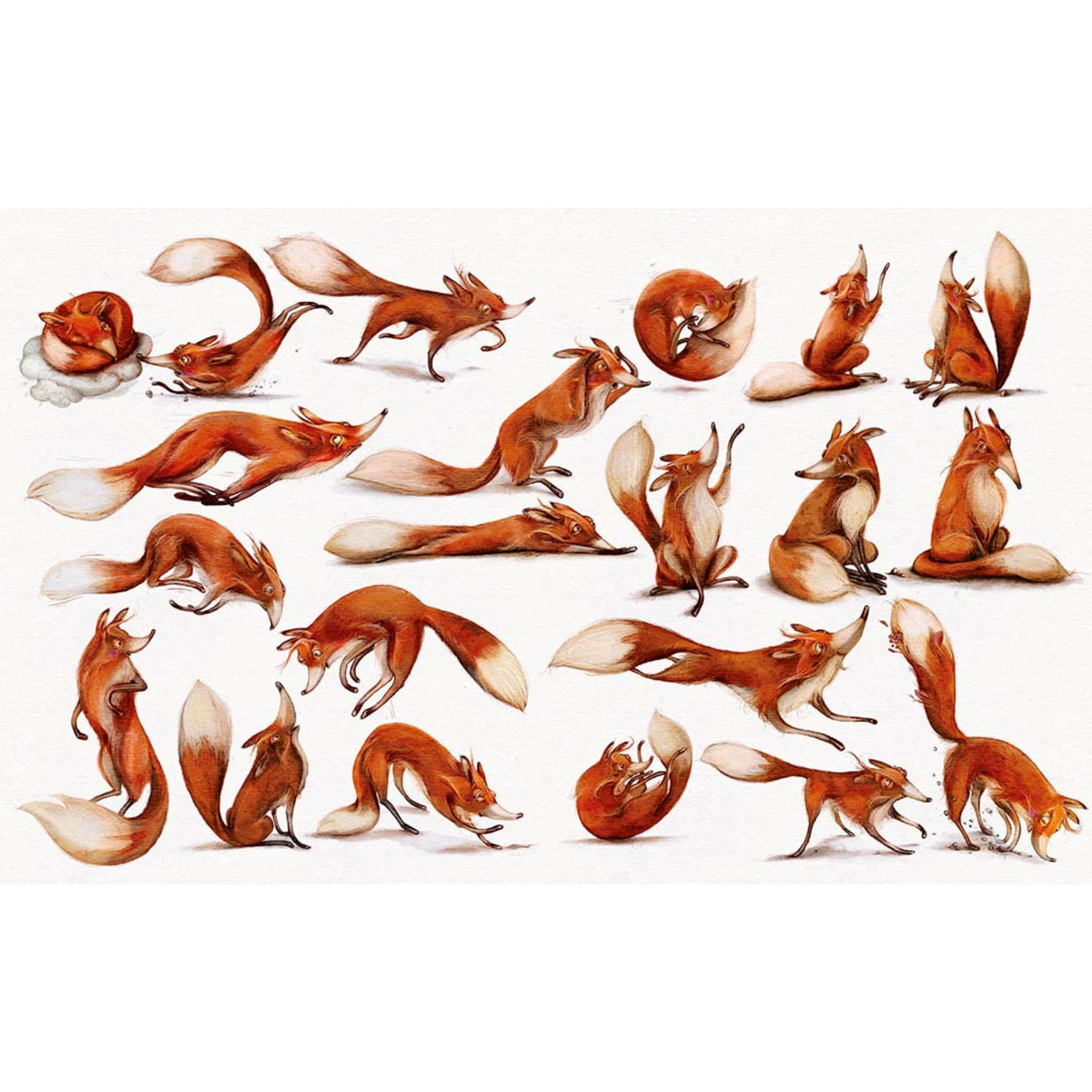 Der schlaflose Fuchs und die Suche nach dem Traumstein