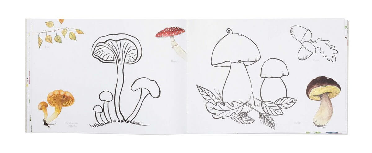 Naturmalbuch