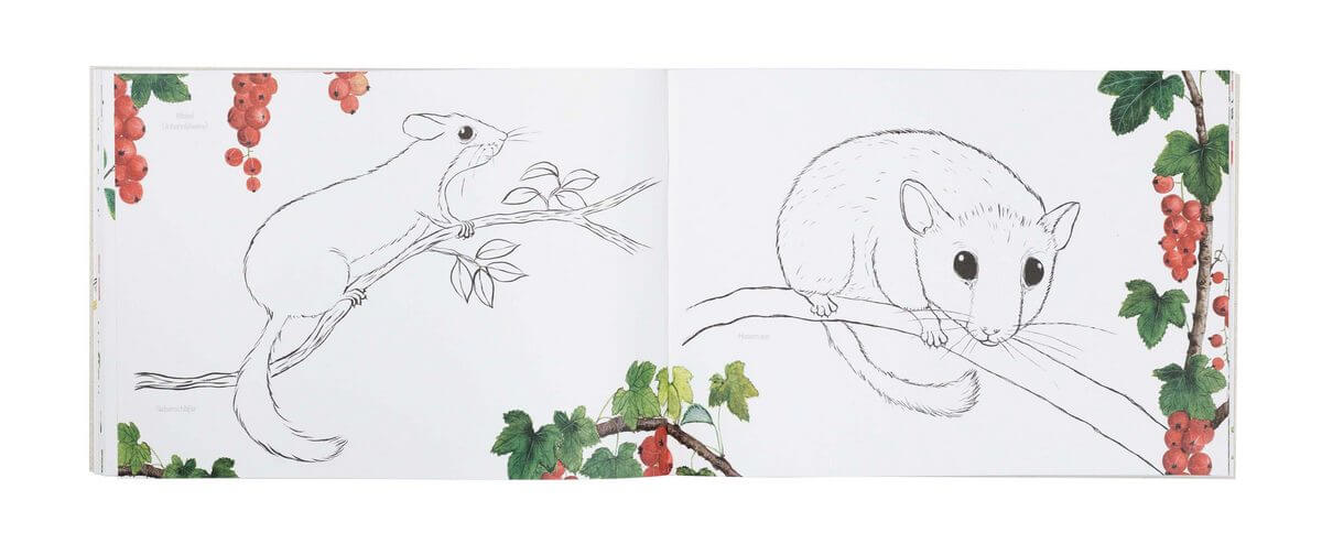 Naturmalbuch