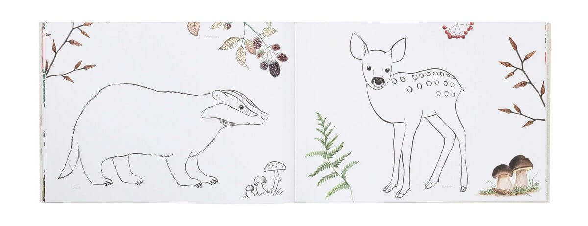 Naturmalbuch