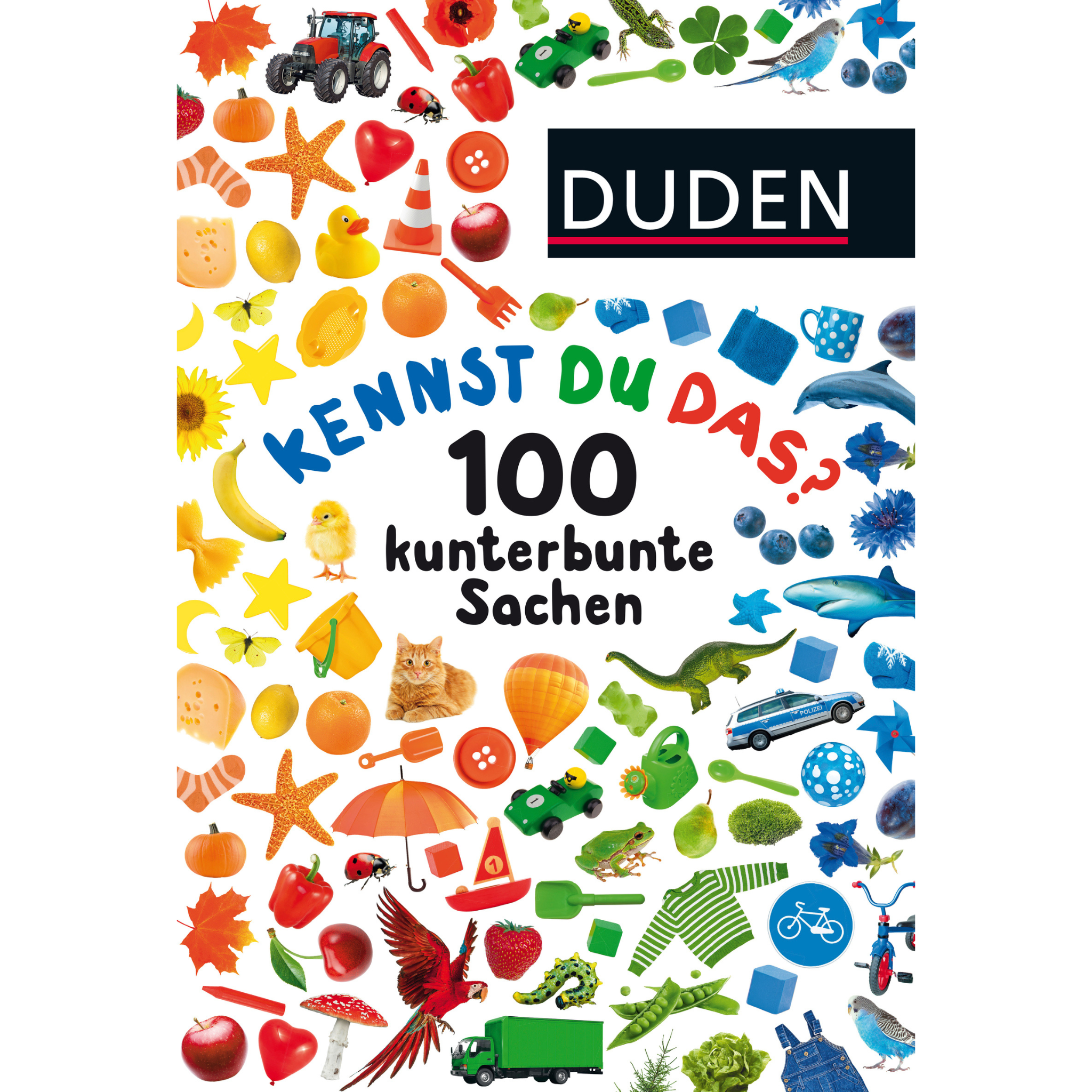 Duden 24+: Kennst du das? 100 kunterbunte Sachen