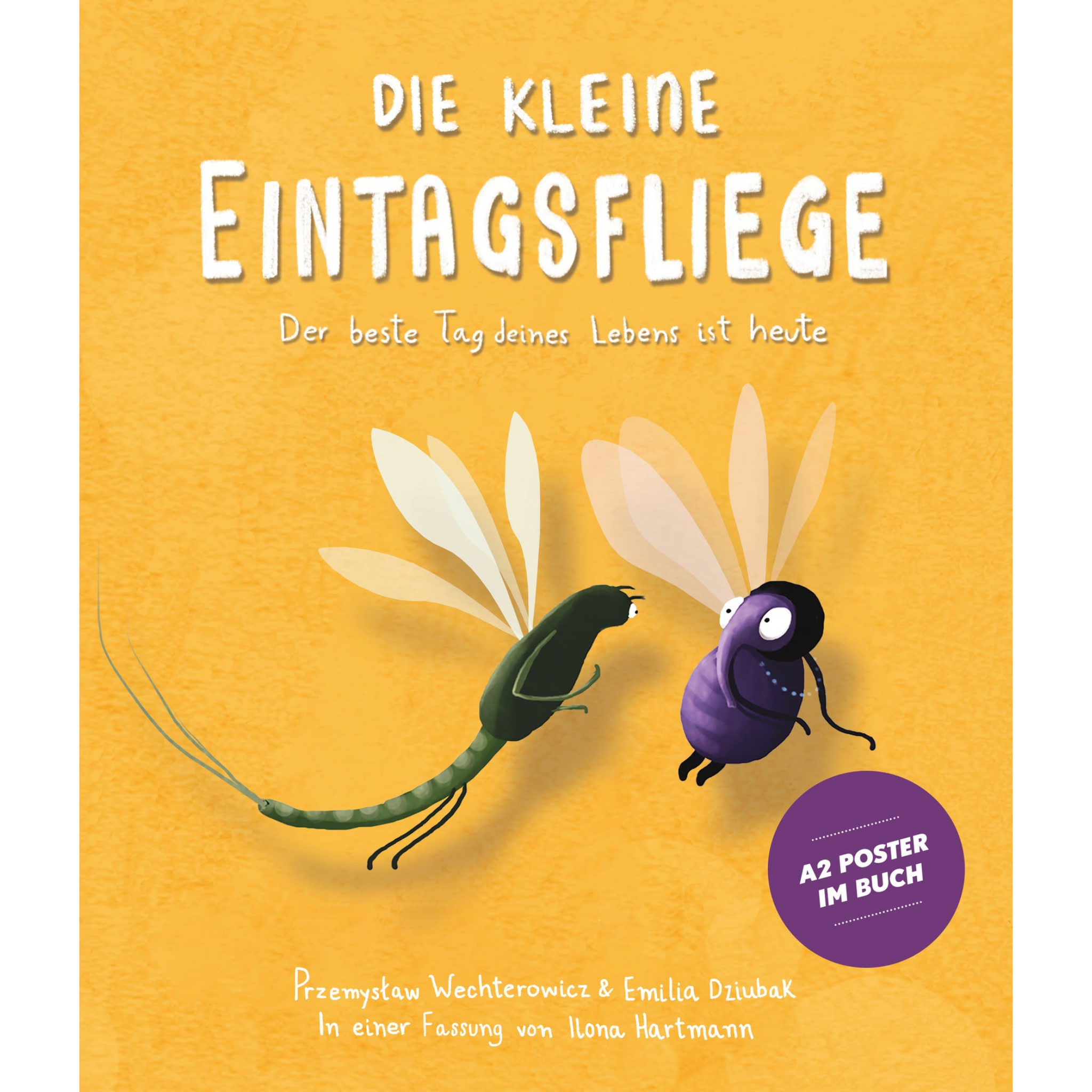 Die kleine Eintagsfliege